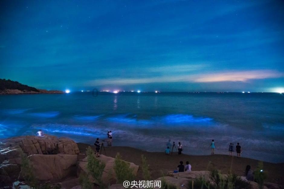 国家教育读书平台下载游戏画面