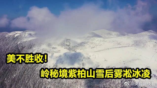 书评 | 经历人生百味，回到四季三餐