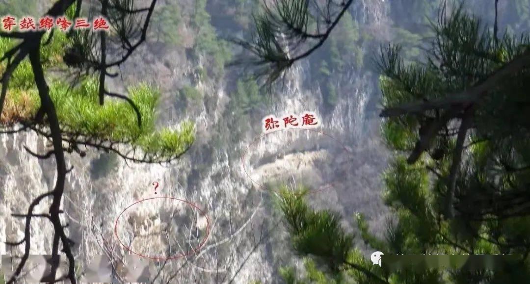 名单公示,商丘8名教师拟入选