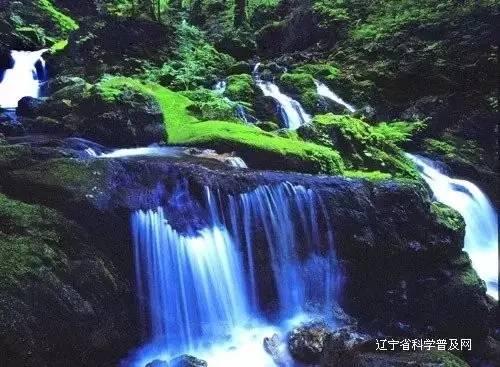 脑洞小老弟无实名认证