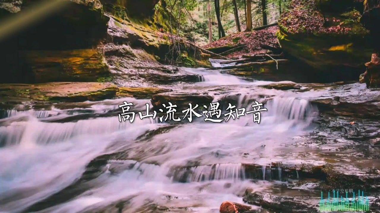 植物大战僵尸8