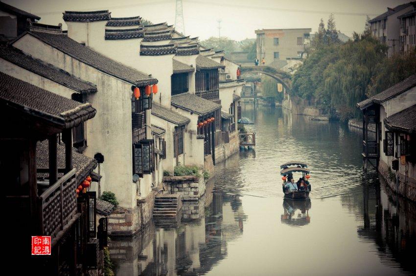 救援鹦鹉